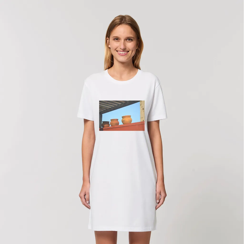 DecorativeVases2 Organic T-Shirt Dress